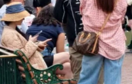 刘亦菲素颜逛迪士尼被偶遇，网友热议“童话公主回家”