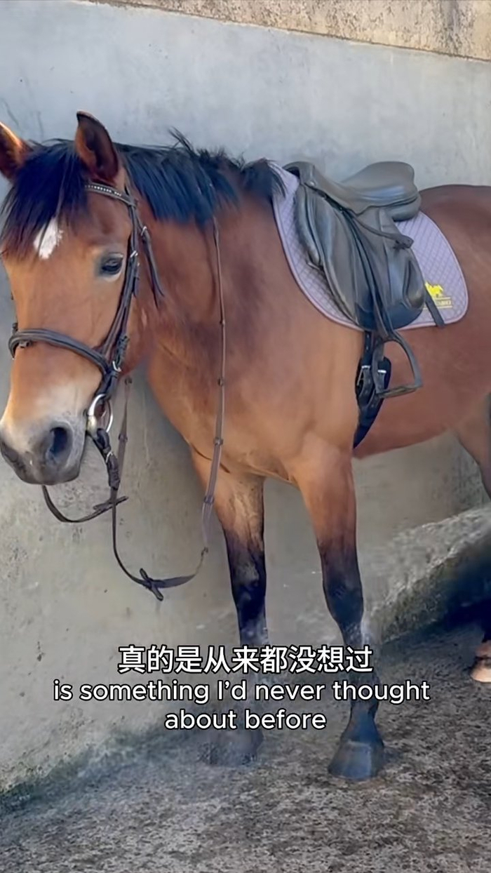 ▲张曼玉在小红书上发布新片，分享自己在法国波尔多一个郊区的游览经历。