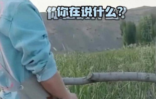 管制刀具——马天宇的嘴