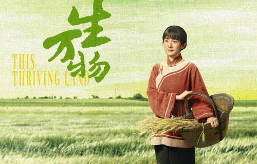 文化湃｜2026白玉兰提名公布，一边喝彩一边是意难平