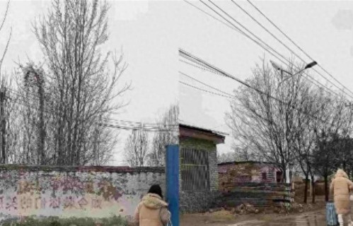 厉怀远老婆林丽又曝料，厉爸厉妈评论区炸锅，一生挚爱疑似被曝光