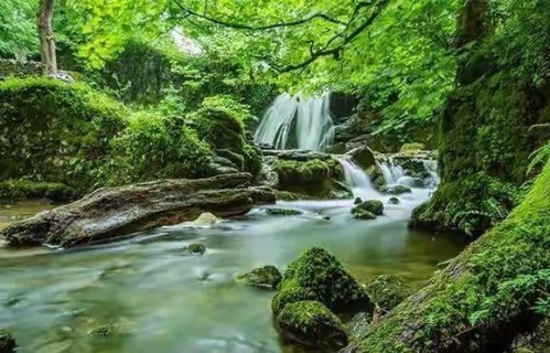 老了才明白：永远不要在儿女面前，表现出这四种行为，才会幸福