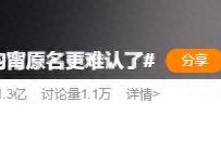 “张钧甯原名更难认了”上热搜，多名艺人真名公布!_中国双语新闻