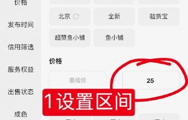 桂瑞最终能保住TF四代投票第一的位置吗