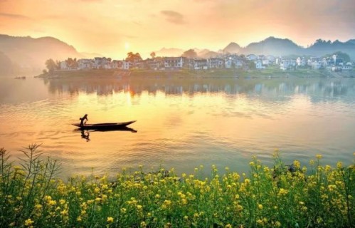 向内扎根 向外从容