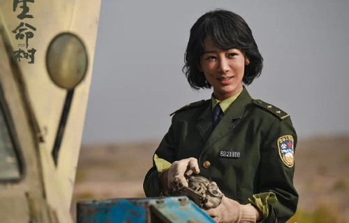 杨紫能获得此次认可主要靠什么？