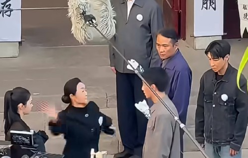 陈晓被打耳光路透视频