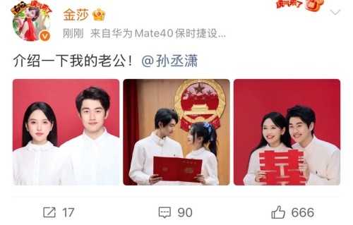 金莎孙丞潇领证结婚，相差17岁修成正果，婚后财产由金莎管理