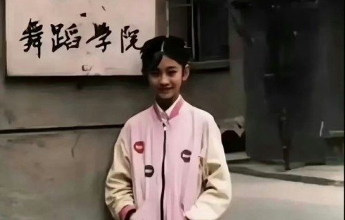 李小冉回忆东方歌舞团经历，转战演艺圈开启第二人生