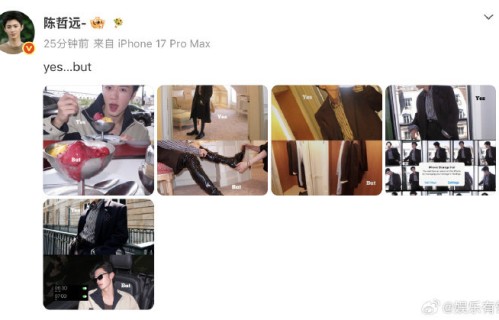 网友对陈哲远玩梗是什么评价