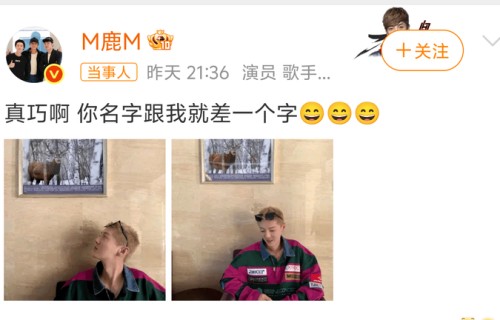 鹿晗520晒马鹿挂画玩梗