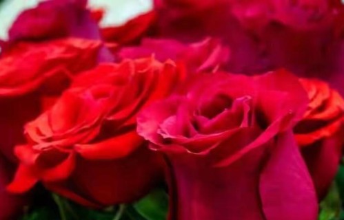 做个温暖的人，清澈善良：心怀暖意，方能不惧岁月风霜