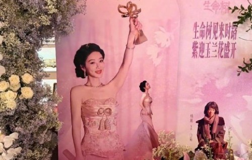 宋丹丹没给杨紫白玉兰庆功宴送祝福吗
