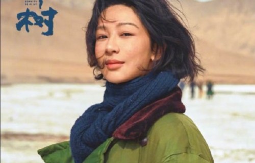 《生命树》一共斩获了几个白玉兰奖项？|垂类行业剧|视后|杨紫|获奖|最佳女主角