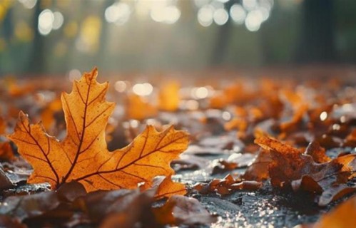 中年男人爱上一个女人，最明显的特征不是秒回消息，而是开始有这些转变