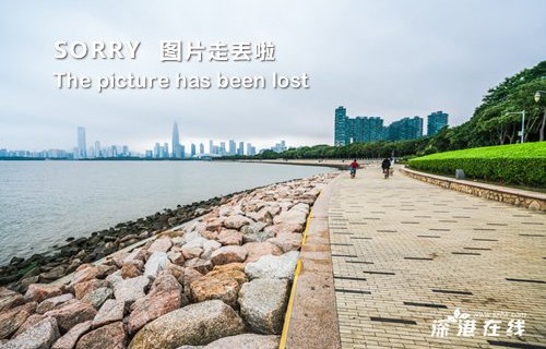 王石女友田朴珺简历 王石为什么喜欢田朴珺