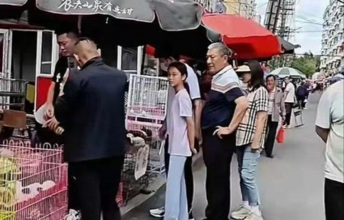 贾乃亮带甜馨回东北看爷爷奶奶，祖孙三人逛菜市，甜馨身高惊人|老人|菜市场|长势|综艺|女儿