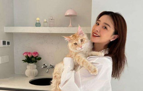 从为爱哭到搞事业，阚清子的清醒太解气|女性|煎牛排|安定感|猫咪|娱乐圈