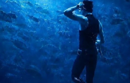 这次水族馆表演是吴磊旅行综艺《骑有此理·海南篇》的哪一环节？