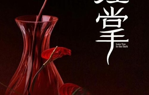传了多版男主!关晓彤悬疑新剧《红掌》搭档人选终于官宣