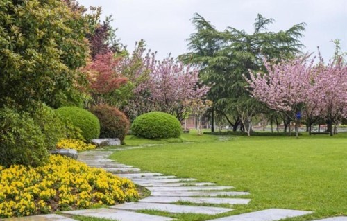 一个中年女人想念异性到了疯狂，不会主动联系，而是用这一个细节