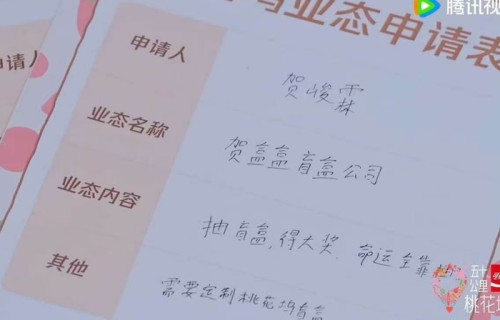 贺峻霖《桃花坞》业态公司名曝光，叫贺盒盒|五十公里桃花坞第六季