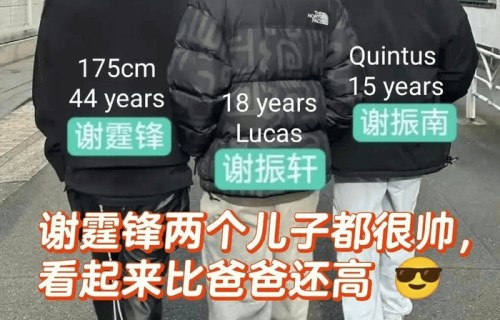 十二年后再看“锋菲恋”:当45岁谢霆锋奔波养娃，56岁王菲已半退休_生活_事业_阶段