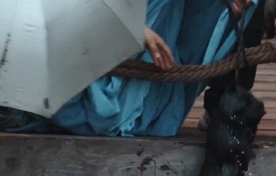 为什么檀健次救狗后开怀大笑的场景引发了网友热议？|小狗|片场|笑声|公众|娱乐圈