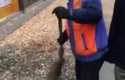 奔跑吧节目组拍摄完后留遍地鸡毛 网友生气了
