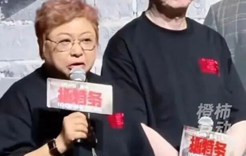 走个面儿？庶民的进击！|冯小刚|抓特务|韩红|陈思诚|电影评分