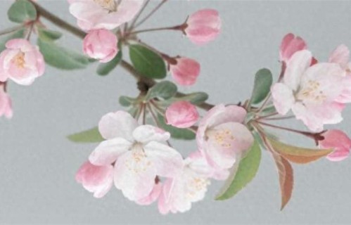 人老了才明白，被儿女嫌弃的原因，不是没钱，而是以下这4个方面