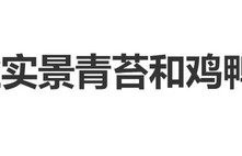 杨紫《家业》双榜第一，实景都是搭出来的，连青苔和鸡鸭都是真的