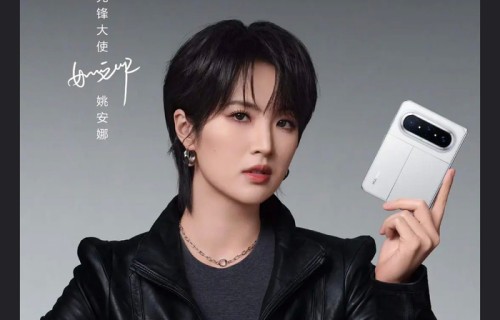 网友质疑姚安娜无作品代言华为|王安宇