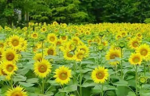 老了才明白：最傻的父母，攥着大把存款和退休金，等着给娃当遗产