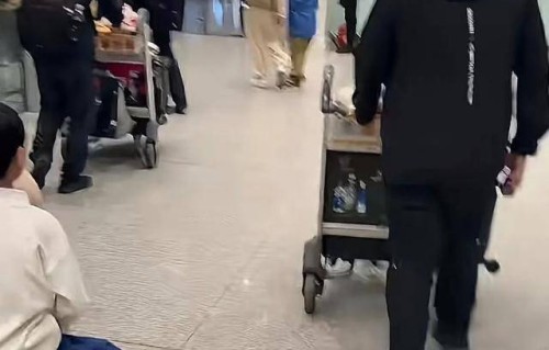 杨子独自带两个儿子出门度假，9岁小儿子小v脸双眼皮像妈妈黄圣依|童年|父子|充电|快乐成长