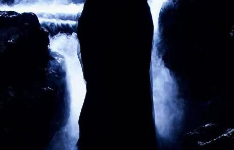 陈飞宇在《将夜》和《献鱼》等作品中展现了哪些敬业瞬间？