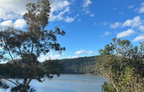 强烈建议心急、焦虑、感觉被掏空的人，尝试失联24小时