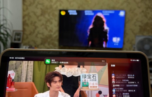 这次围绕张远唱功的评价分歧，反映了当下音乐审美存在哪些标准差异？