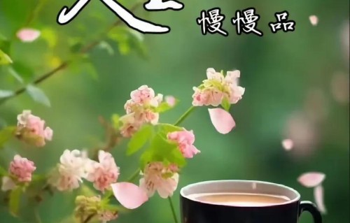 人生九悟，越早懂越少吃亏