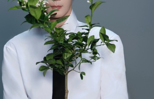 演员夏之光出席第十六届北京国际电影节开幕式