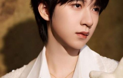 北影节红毯首波名单出炉：贺峻霖三年连登，从新人变固定班底