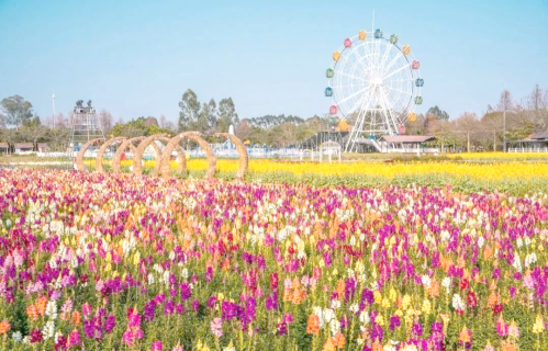 我们正在经历一场悄无声息的“情绪海啸”