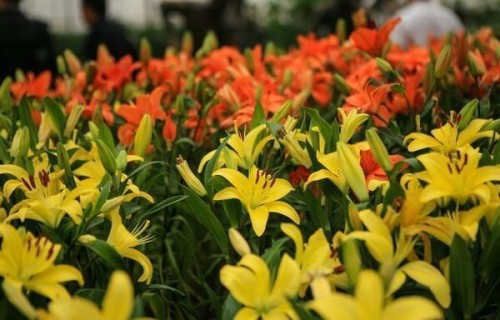 52岁退休女一句大实话：出轨率高的女人，一般都有这3个特征