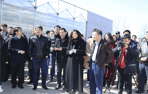 《蜂蜜的针》10个隐秘细节，细思极恐，越挖越有趣