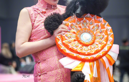 陕西偶遇霍思燕夫妇，杜江手上拎着一大袋肉夹馍，都够他俩吃3天