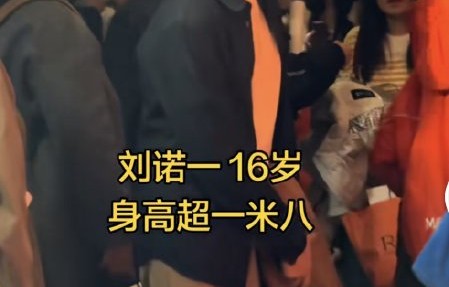 刘烨儿子诺一的妈妈是谁？