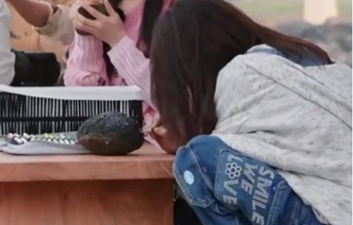 网友对白鹿这个方法评价如何