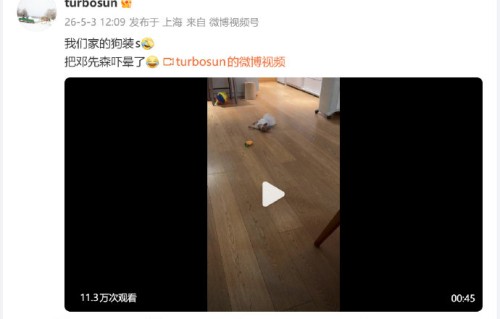 这只叫芒果的狗狗平时就爱模仿表演吗